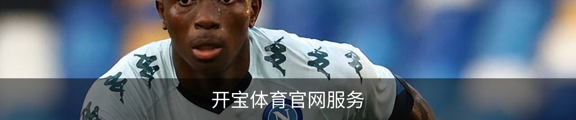 开宝体育官网服务