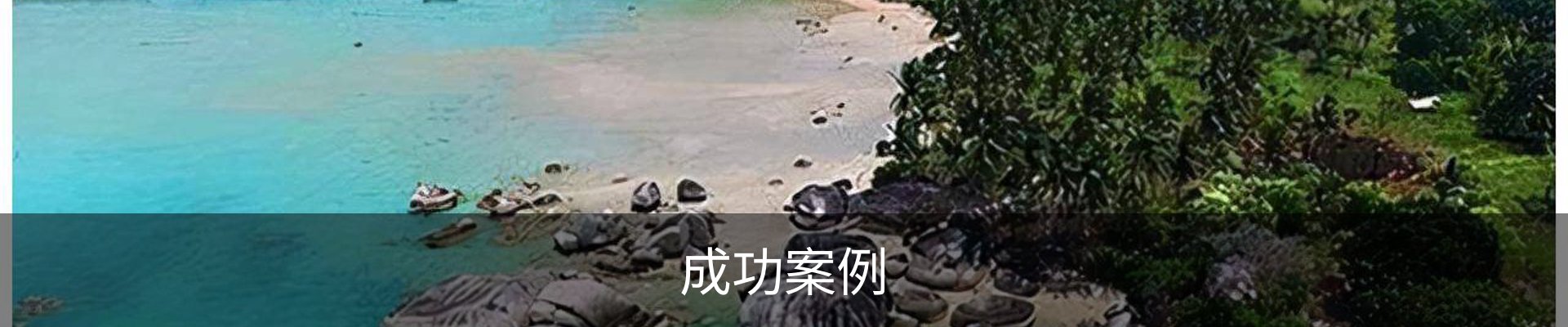 成功案例